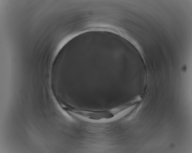 X0000092011533200709271519