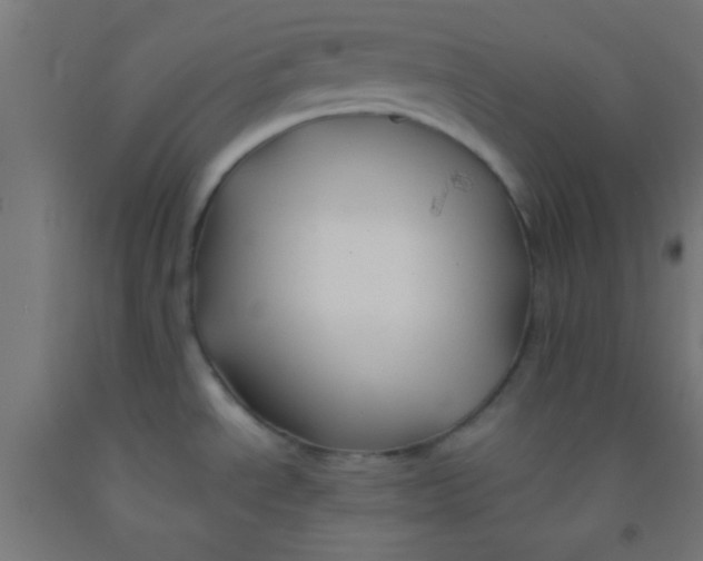 X0000092011534200709271519