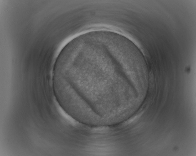 X0000092011535200709271519