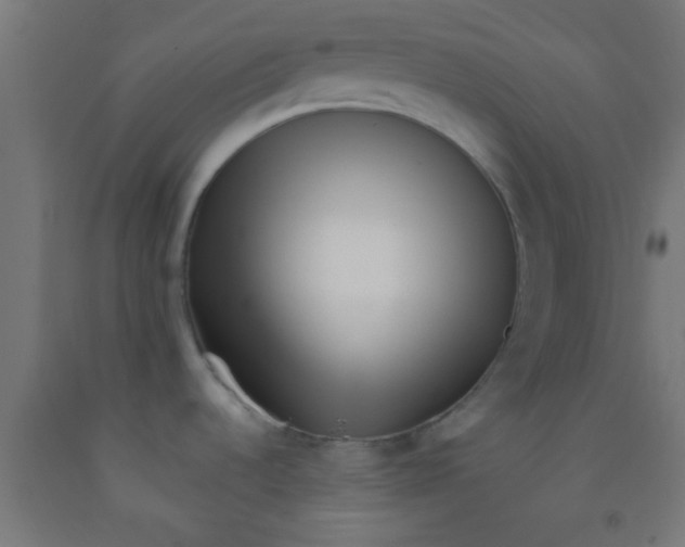 X0000092011536200709271519