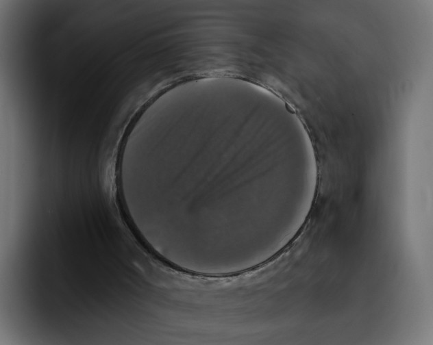 X0000092010002200710041034