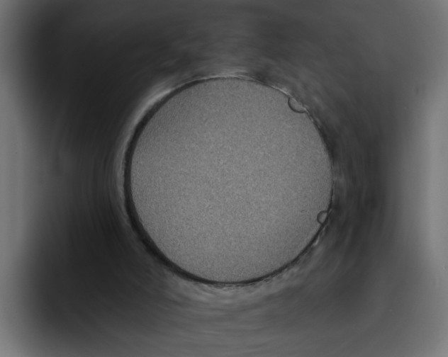 X0000092010006200710041034