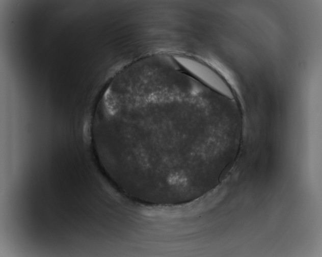 X0000092010009200710041034