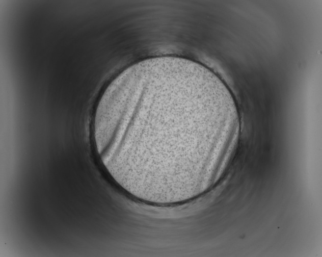 X0000092010010200710041034