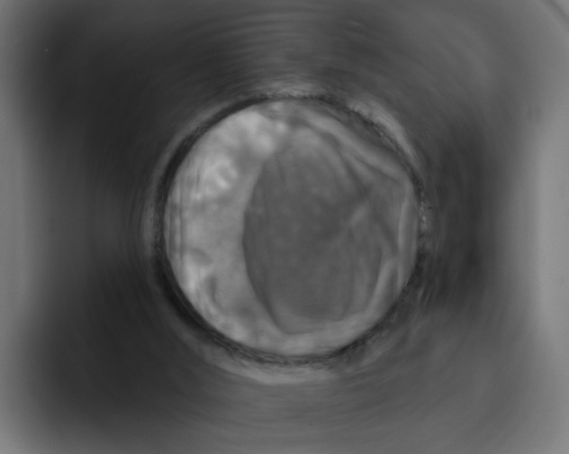 X0000092010012200710041034