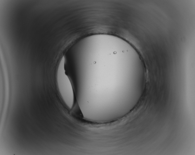 X0000092010013200710041034