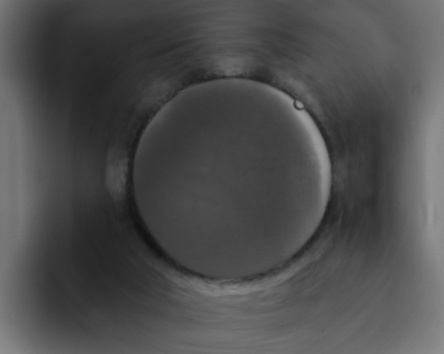 X0000092010018200710041034