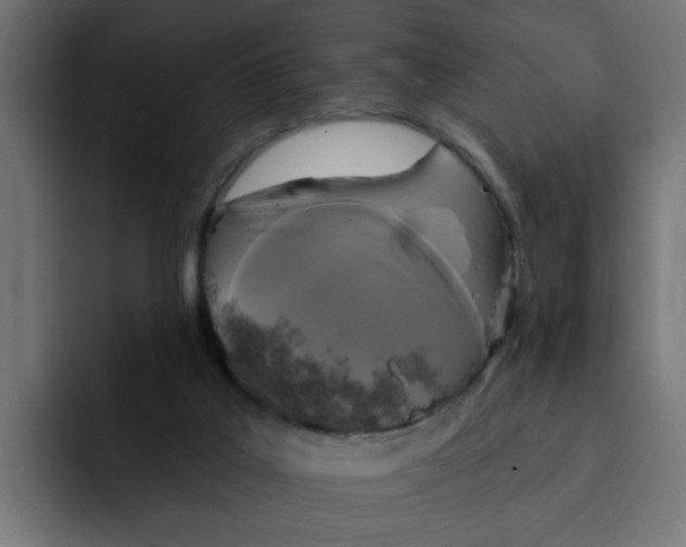 X0000092010019200710041034