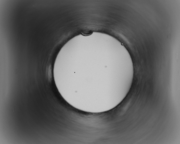 X0000092010020200710041034