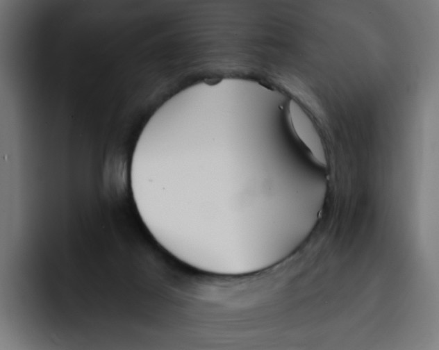 X0000092010021200710041034