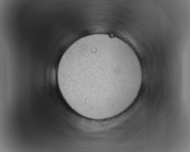 X0000092010022200710041034