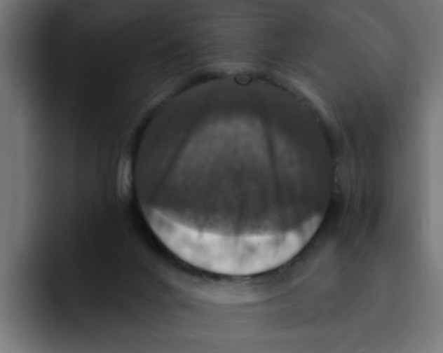 X0000092010024200710041034