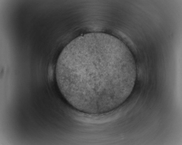 X0000092010026200710041034