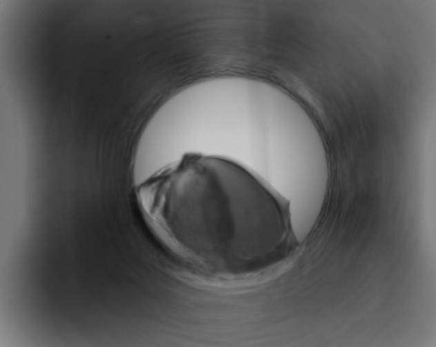X0000092010027200710041033