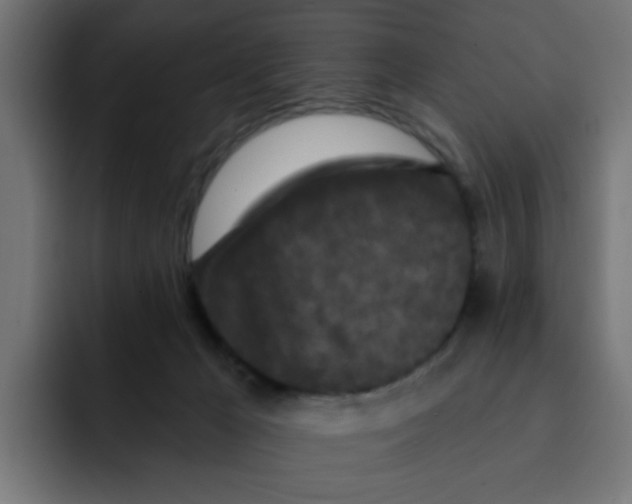 X0000092010029200710041033