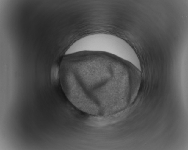 X0000092010041200710041033