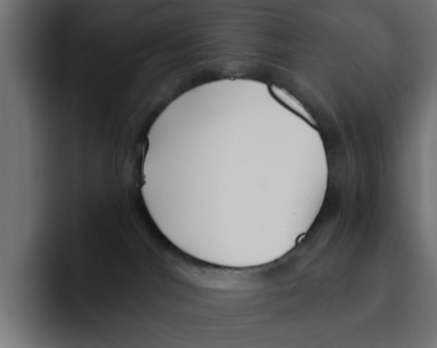 X0000092010044200710041033