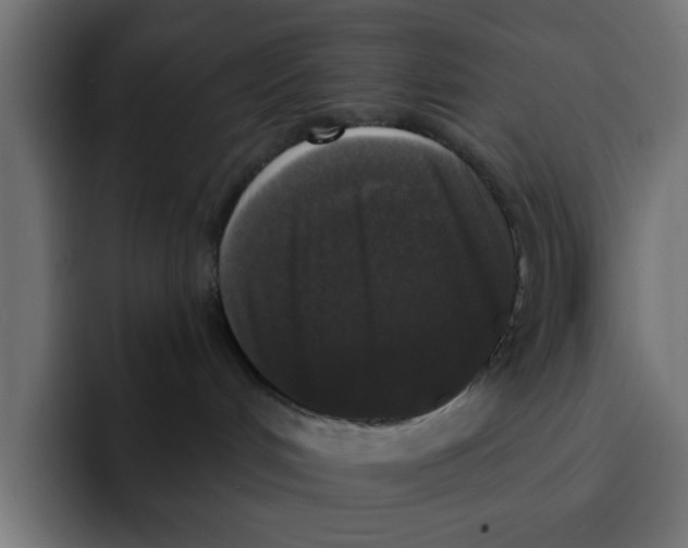 X0000092010048200710041033