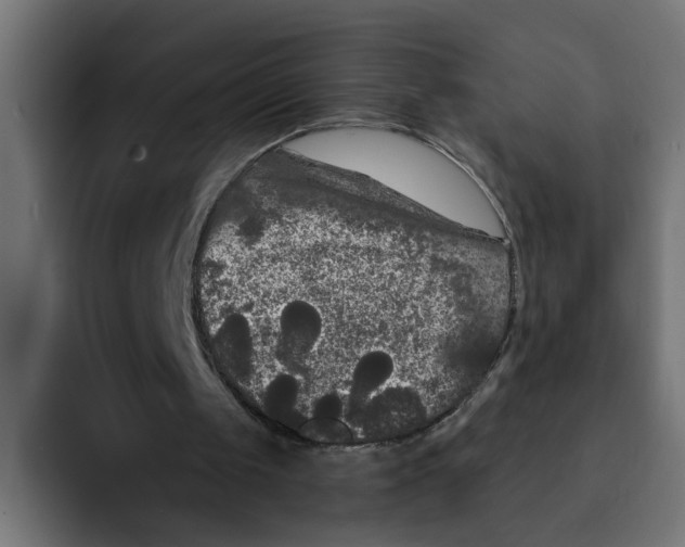 X0000092010049200710041033