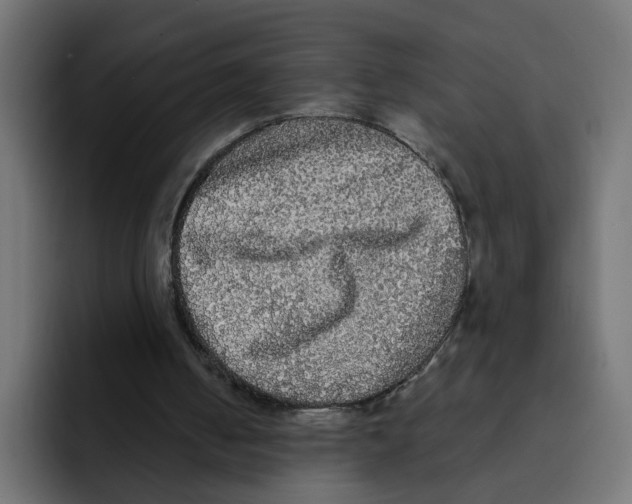 X0000092010050200710041033