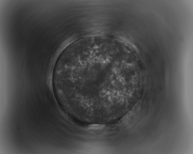 X0000092010051200710041033