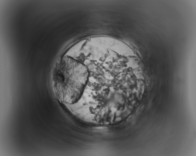 X0000092010053200710041033