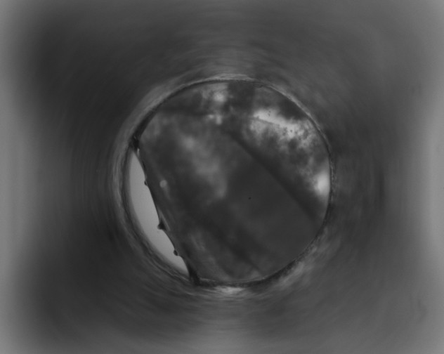 X0000092010055200710041033