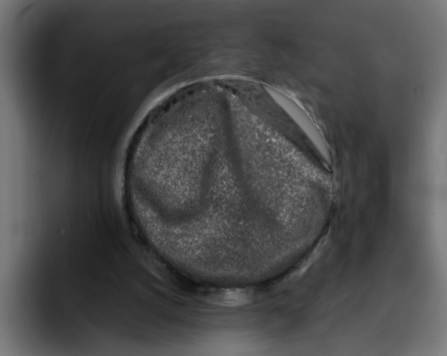 X0000092010056200710041033