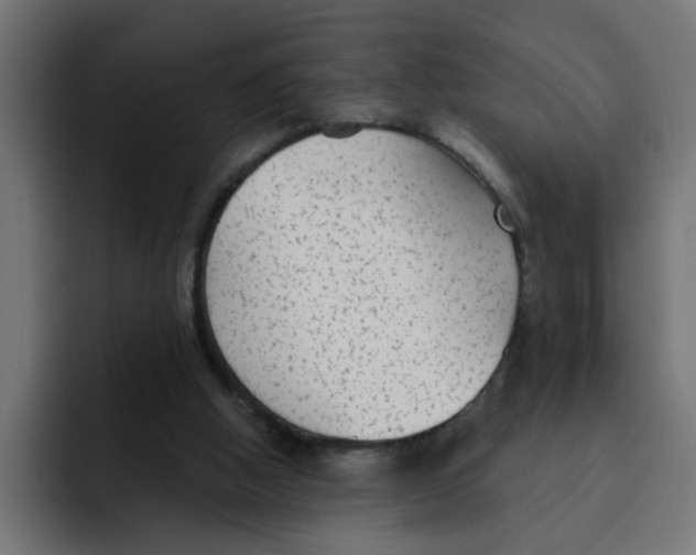 X0000092010058200710041033