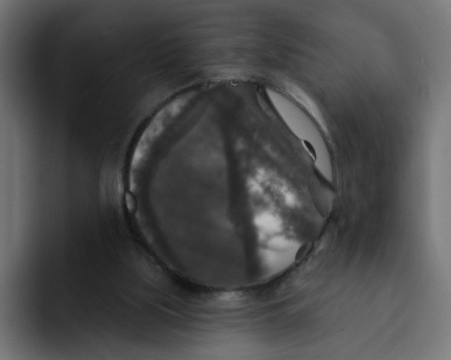 X0000092010059200710041033