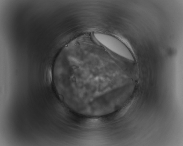 X0000092010061200710041033
