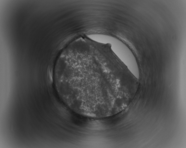 X0000092010062200710041033
