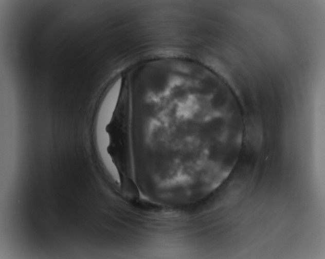 X0000092010063200710041033