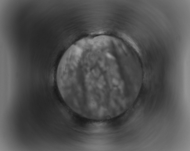 X0000092010065200710041033