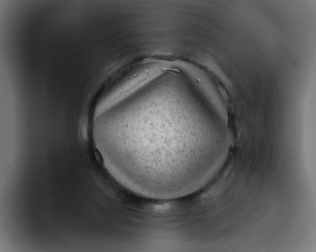 X0000092010068200710041033