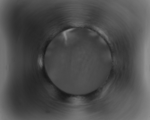 X0000092010069200710041033
