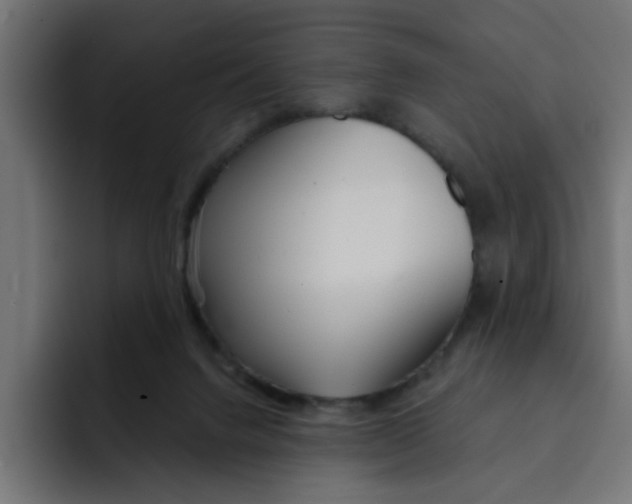 X0000092010072200710041033