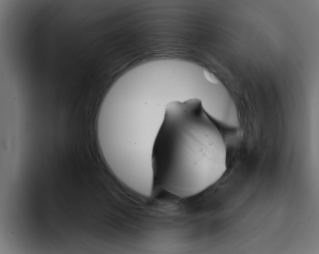 X0000092010075200710041033