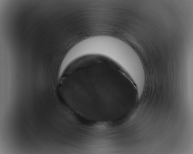 X0000092010076200710041033
