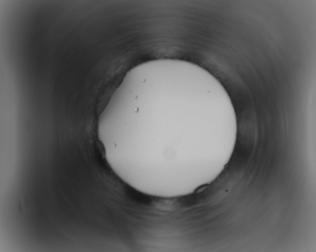 X0000092010079200710041033