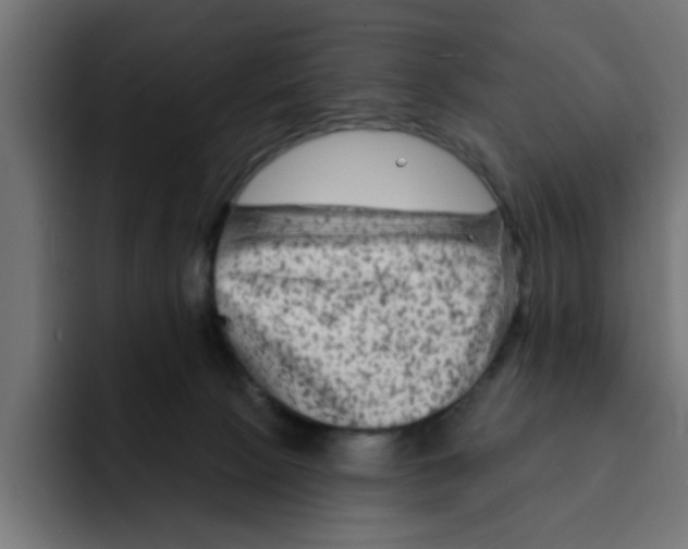 X0000092010081200710041033