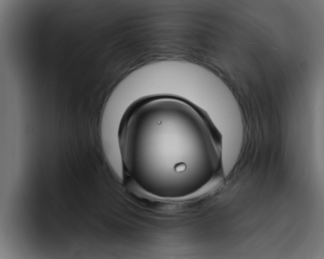 X0000092010084200710041033