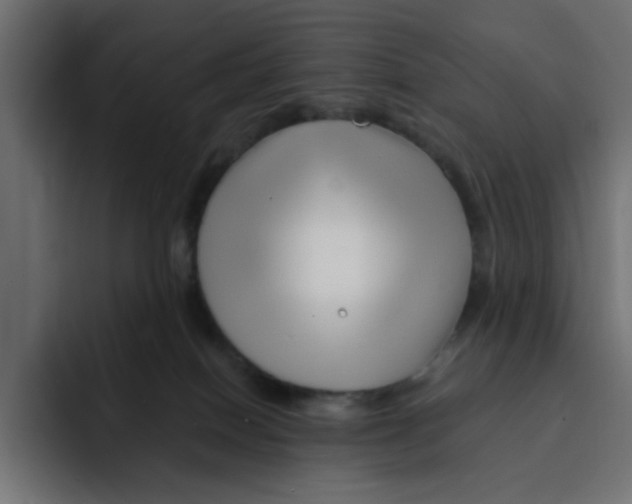 X0000092010086200710041033
