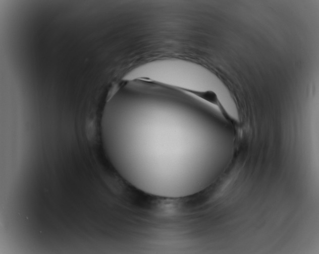 X0000092010088200710041033