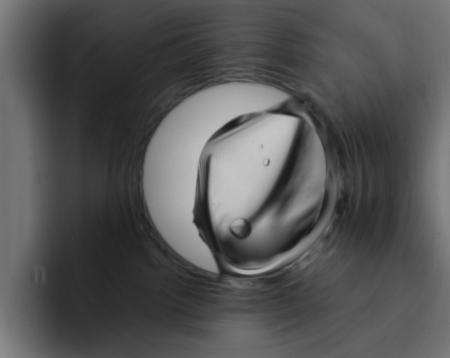 X0000092010092200710041033