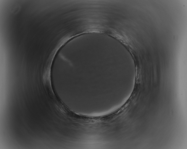 X0000092010099200710041033