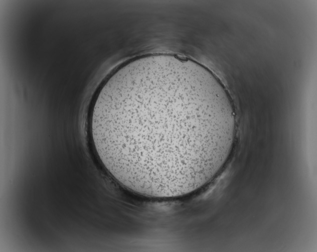 X0000092010103200710041033