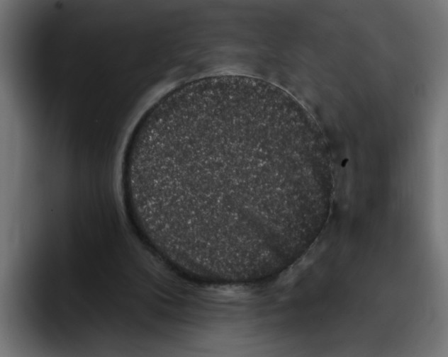 X0000092010104200710041033