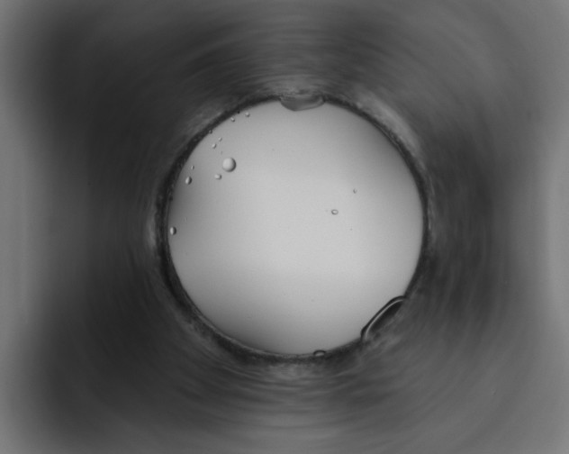 X0000092010105200710041033