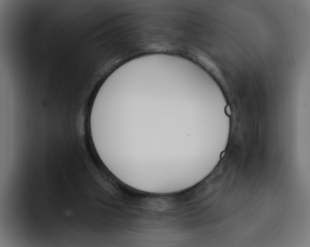 X0000092010106200710041033